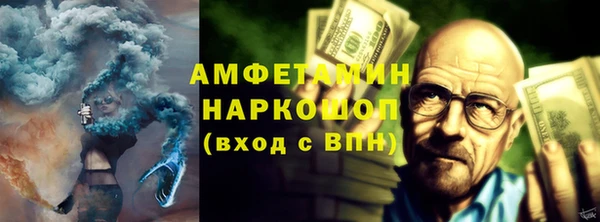 трава Няндома