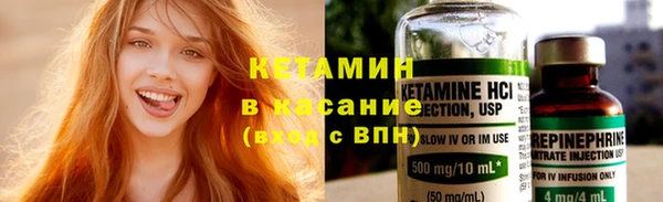 трава Няндома