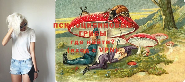 трава Нязепетровск