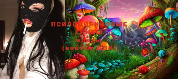 винт Нягань