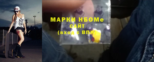 трава Няндома