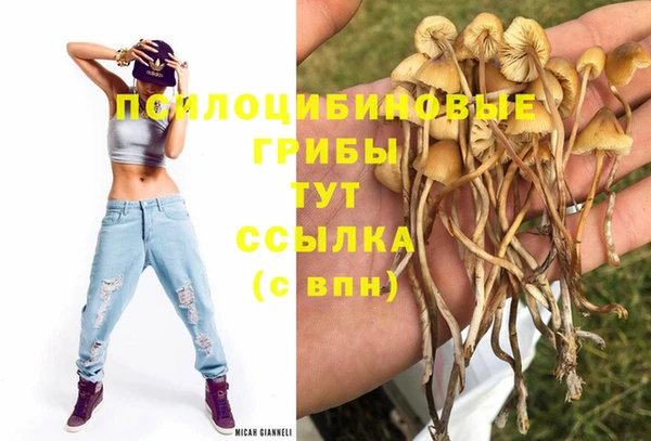 трава Няндома