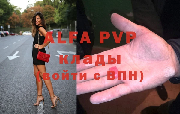 трава Няндома
