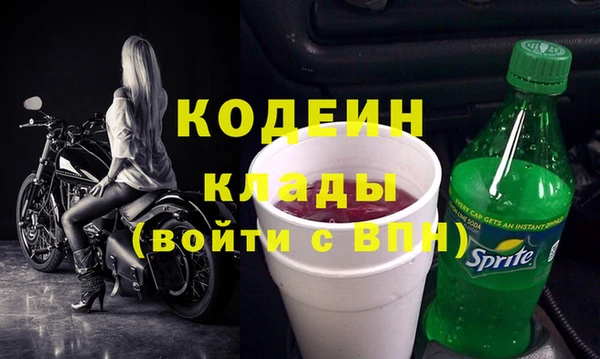 трава Няндома