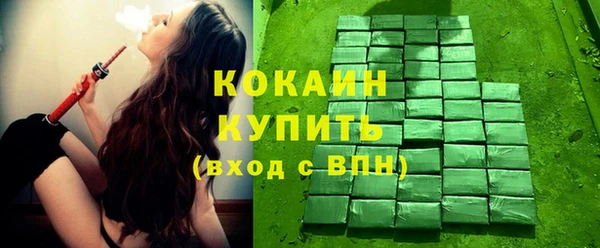 трава Няндома