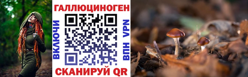 mega зеркало  Йошкар-Ола  Псилоцибиновые грибы Cubensis 