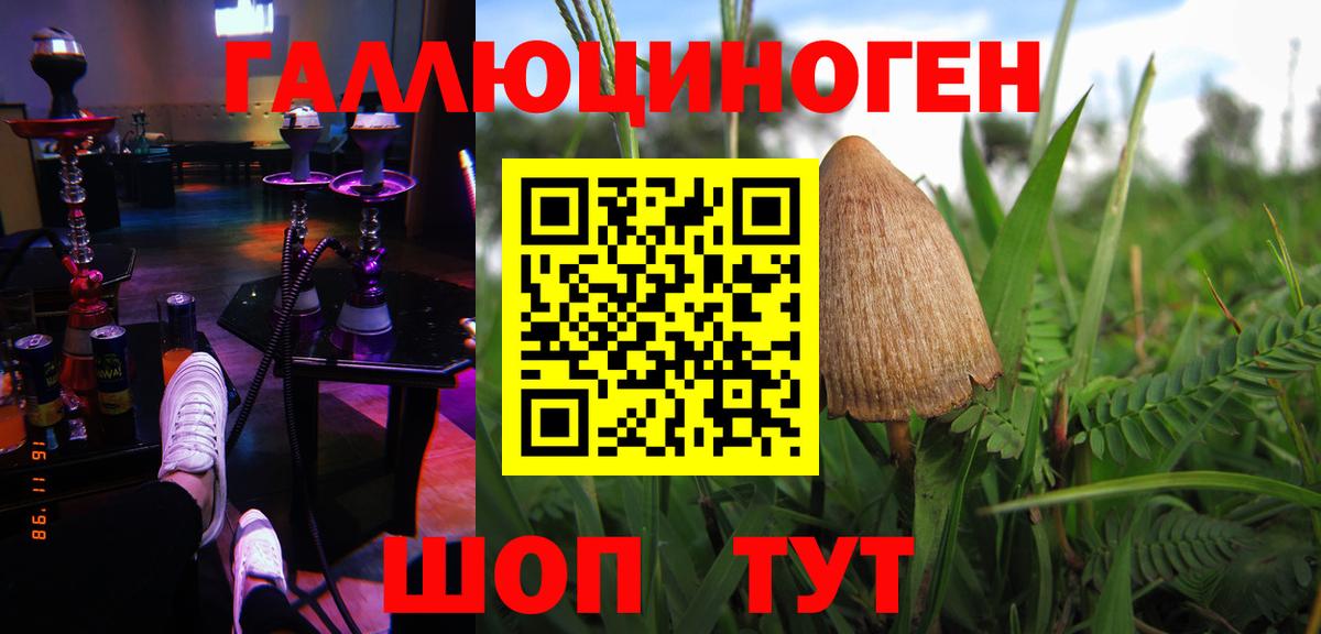 Галлюциногенные грибы мицелий  Галлюциногенные грибы MAGIC MUSHROOMS  Вход с VPN  как найти наркотики  Йошкар-Ола 