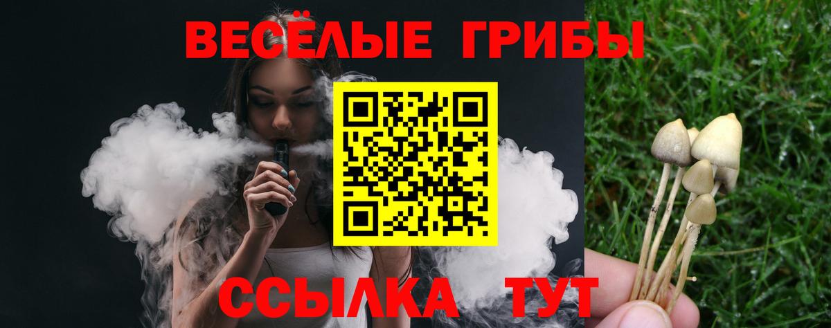 Галлюциногенные грибы Psilocybe Йошкар-Ола